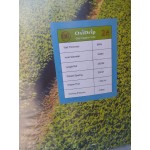 Крапельна стрічка OxiDrip 8mil 20см 1л/год 2500м Емітерна Крапельна стрічка OxiDrip 8mil 20см 1л/год 2500м Емітерна